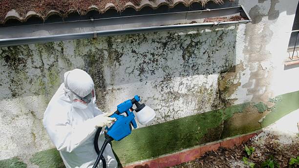 Trusted Commercial Mold Remediation service in Garfield, NJ - Cheap Mold Removal